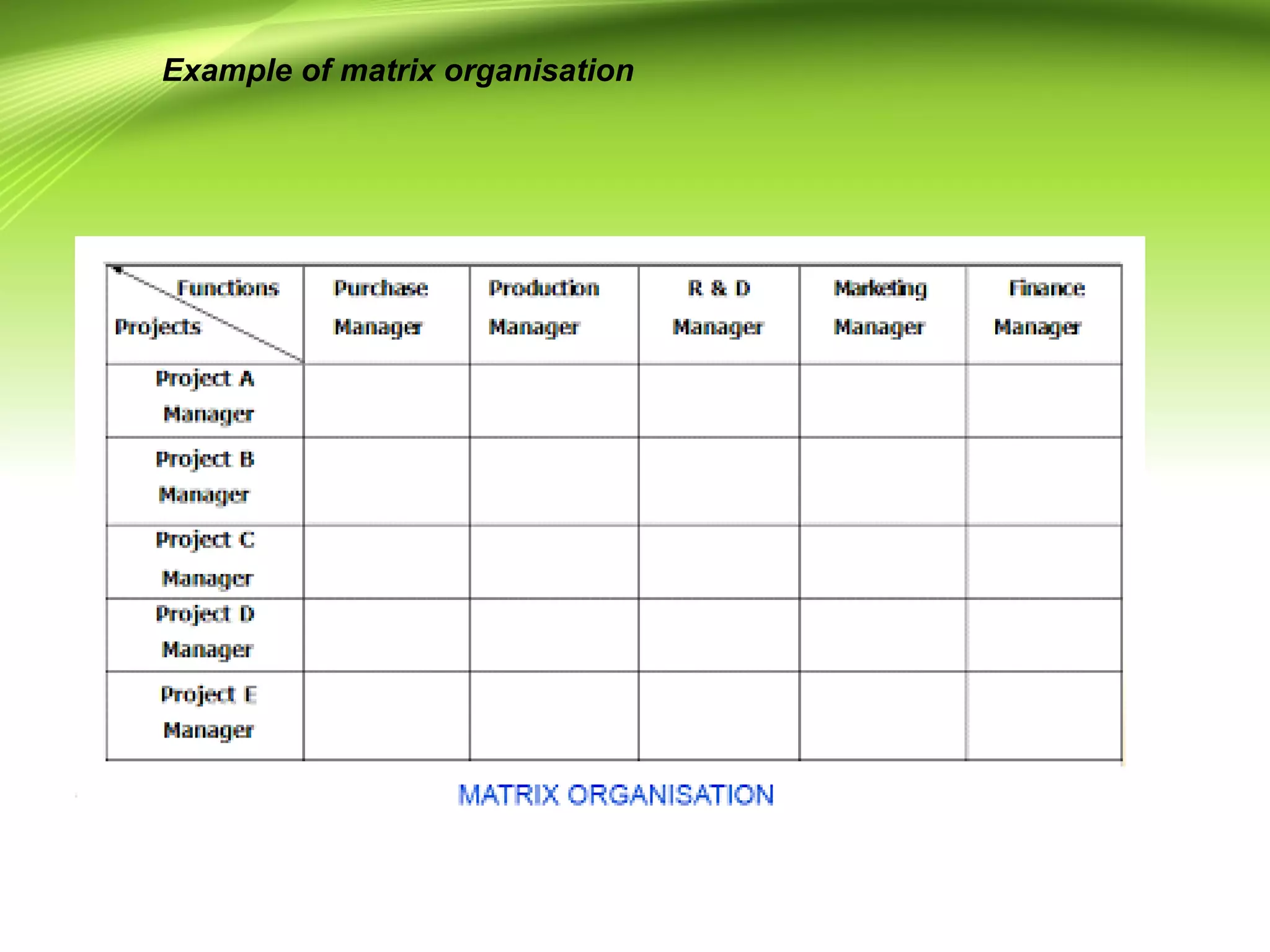 Example of matrix organisation
 