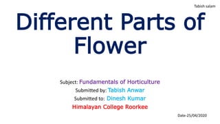 Different Parts of
Flower
Subject: Fundamentals of Horticulture
Submitted by: Tabish Anwar
Submitted to: Dinesh Kumar
Himalayan College Roorkee
Date-25/04/2020
Tabish salam
 