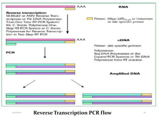 Reverse Transcript Pcr Machine Different pcr techniques and their application | PPTX