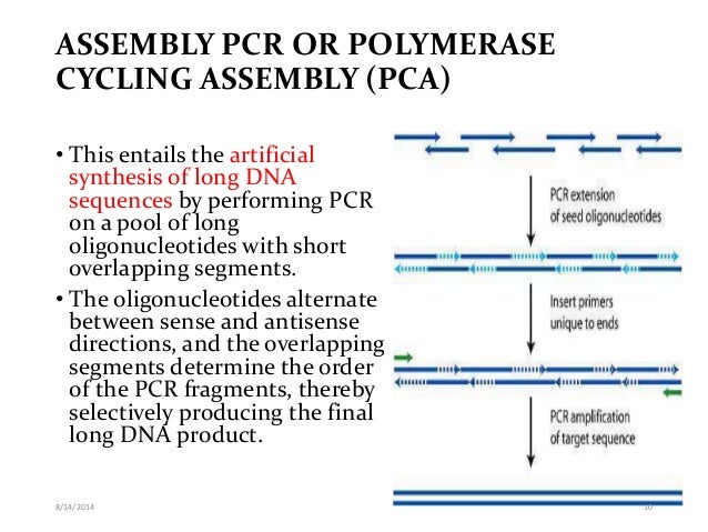 different pcr techniques and their application pcr technique