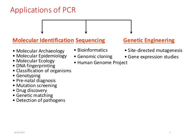different pcr techniques and their application pcr technique