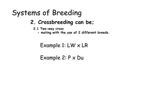 Systems of Breeding
2. Crossbreeding can be;
2.1 Two-way cross
- mating with the use of 2 different breeds.
Example 1: LW x LR
Example 2: P x Du
 