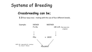 Systems of Breeding
Crossbreeding can be;
2.3 Four-way cross - mating with the use of four different breeds.
Example: FATHER MOTHER
P x Du LW x LR (Two-way cross
progeny)
PDu x LWLR
PDuLWLR
NOTE: LW - Large white LR – Landrace
Du - Duroc P - Pietrain
 