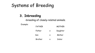 Systems of Breeding
3. Inbreeding
-breeding of closely-related animals.
Example:
FATHER MOTHER
Father x Daughter
Son x Mother
Brother x Sister
 