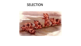SELECTION
 
