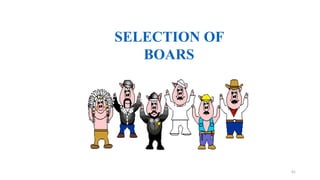 SELECTION OF
BOARS
41
 