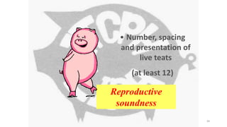 • Number, spacing
and presentation of
live teats
(at least 12)
Reproductive
soundness
49
 