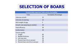 SELECTION OF BOARS
Economically Important Traits and Its Heritability
Traits Heritability Percentage
Littersize at birth 15
Littersize at weaning 12
Birth weight of pigs 5
Growth rate (weaning to market) 30
Feed efficiency 30
Conformation 29
Carcass quality
1. Length
2. Backfat thickness
3. Loin eye area
4. Percent ham (% on carcass)
5. Percent lean cuts (% on carcass)
60
50
50
58
50
 