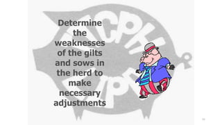Determine
the
weaknesses
of the gilts
and sows in
the herd to
make
necessary
adjustments
52
 