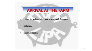 56
ARRIVAL AT THE FARM
• Rest in a clean, dry , warm and draft free pen
• isolation
• acclimatization
 