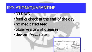 ISOLATION/QUARANTINE
•30 DAYS
•feed & check at the end of the day
•no medicated feed
•observe signs of diseases
•deworm/vaccinate
57
 