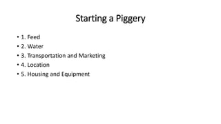 Starting a Piggery
• 1. Feed
• 2. Water
• 3. Transportation and Marketing
• 4. Location
• 5. Housing and Equipment
 