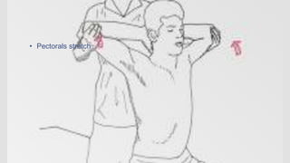 • Pectorals stretch
 