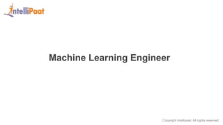 Different Roles in Machine Learning Career