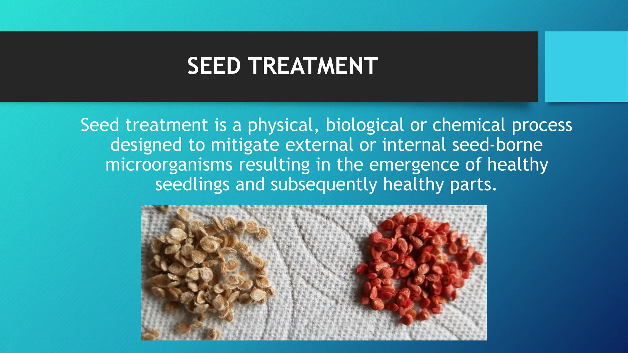 different-seed-treatment-methods-used-for-controlling-seed-borne