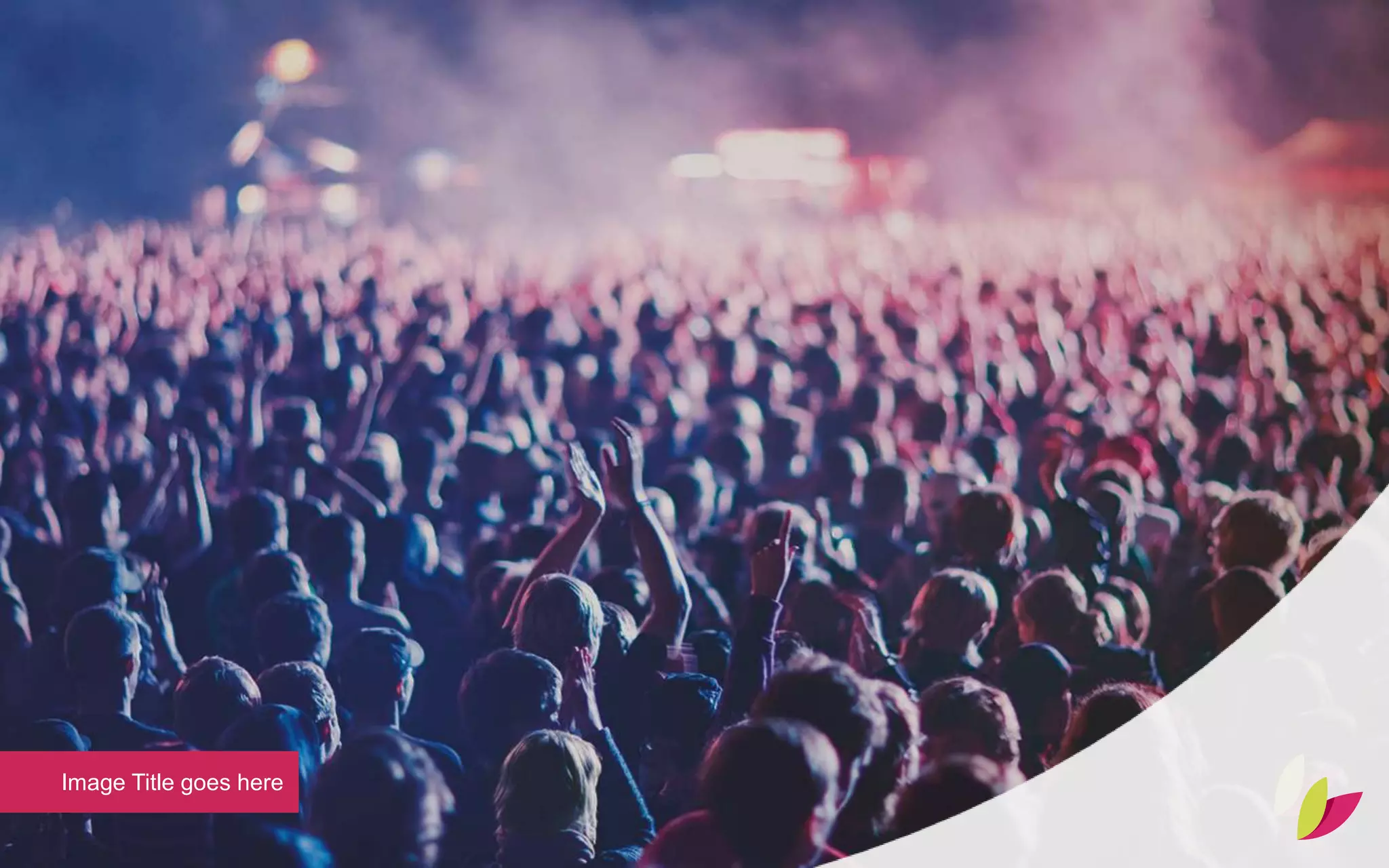 Image Title goes here
 