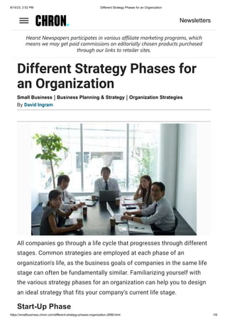 Different Strategy Phases for an Organization.pdf
