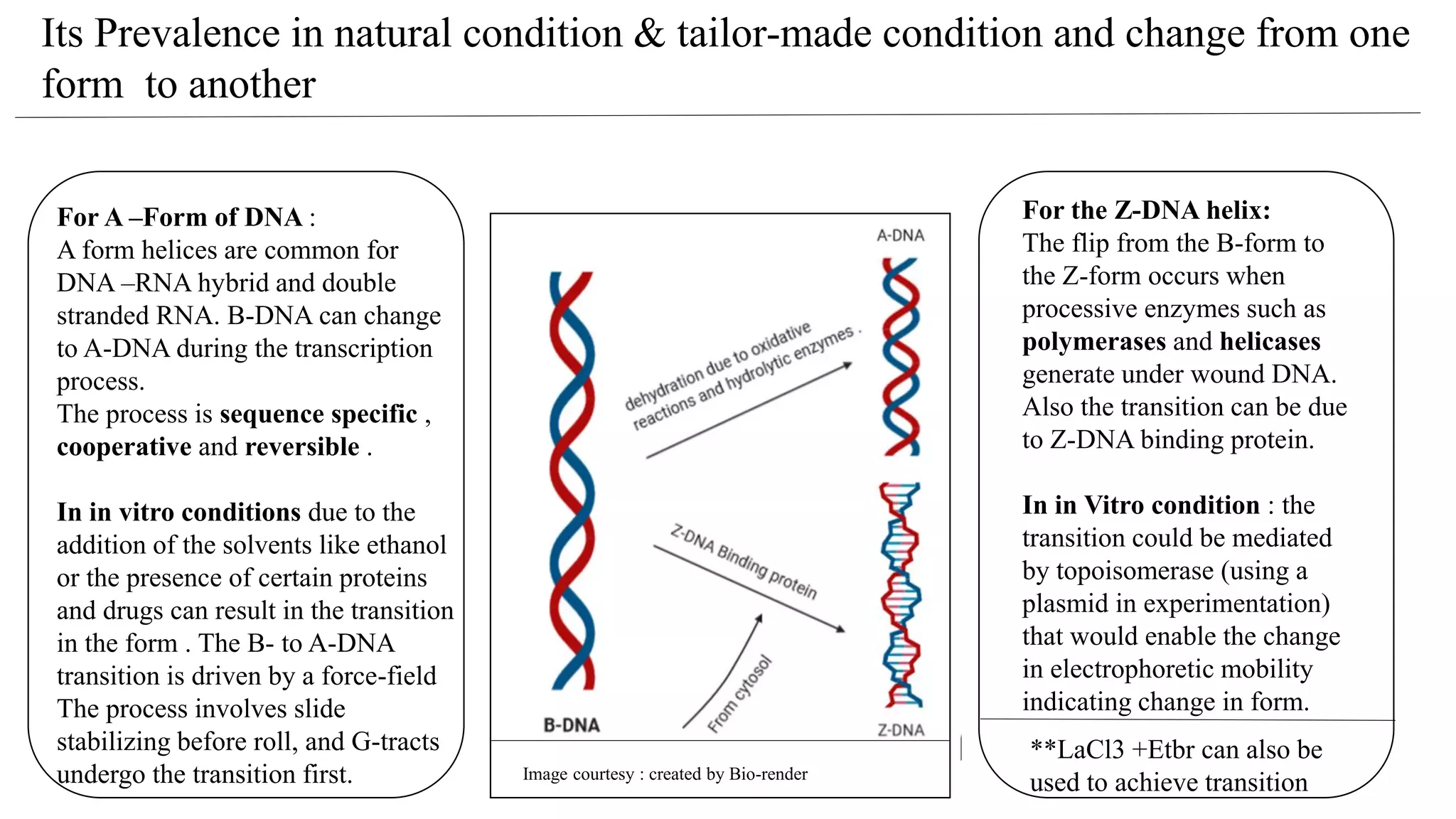 Different Forms of DNA | PPT