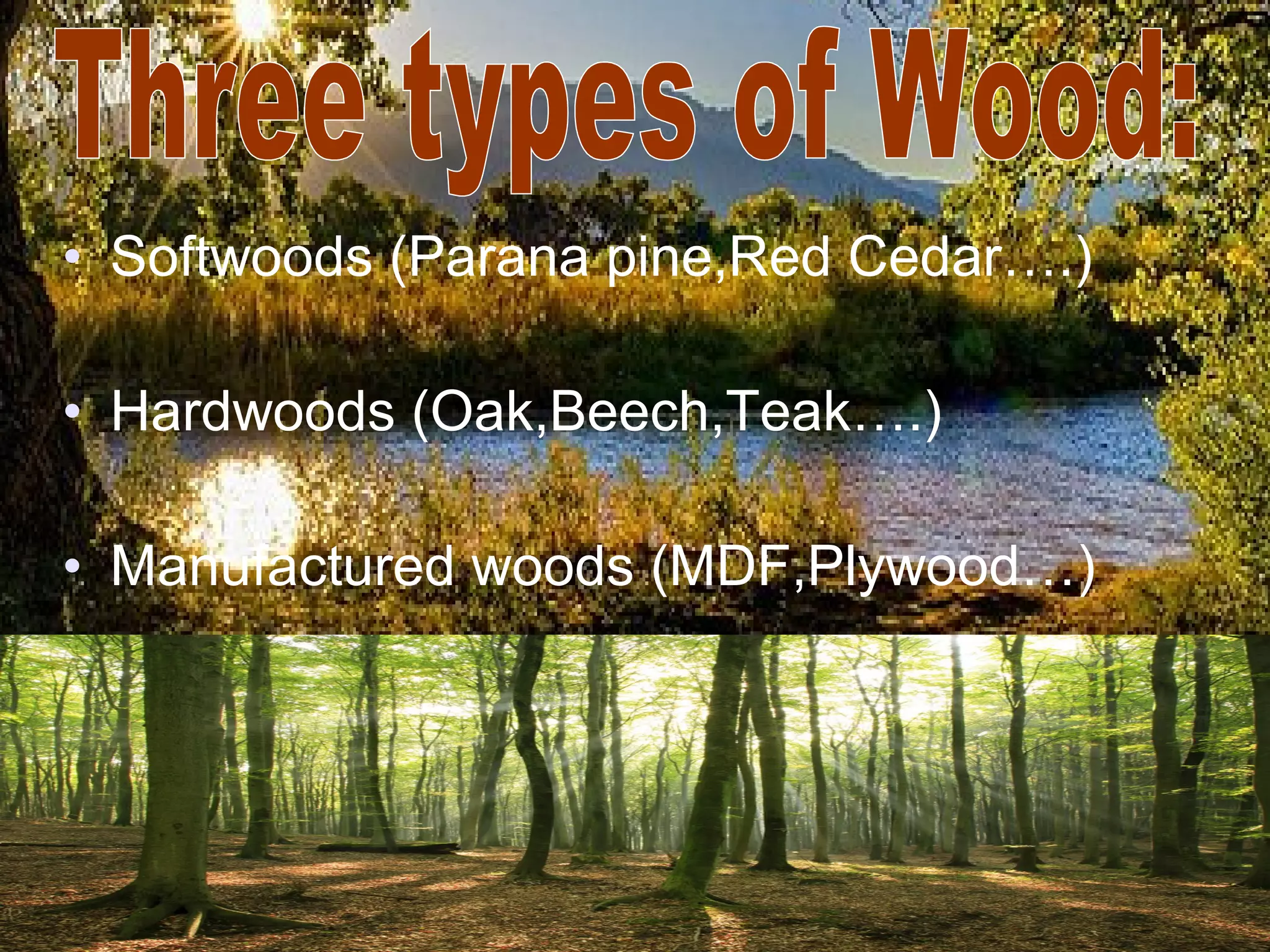 Types of wood , Tipos de Madera en INGLES (English) | PPT | Woodworking