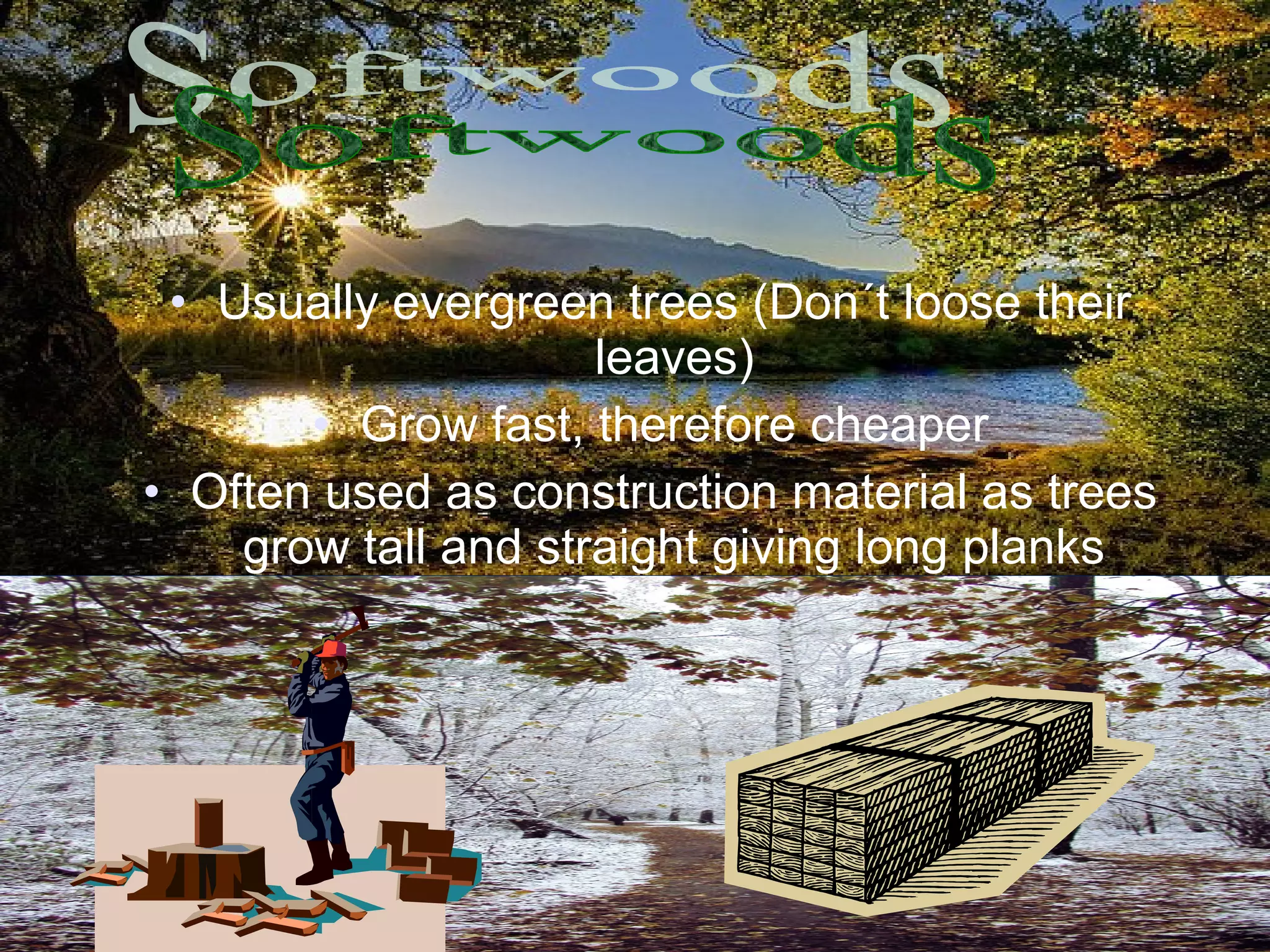Types of wood , Tipos de Madera en INGLES (English) | PPT | Woodworking