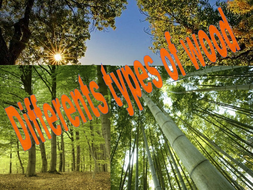 Types of wood , Tipos de Madera en INGLES (English)
