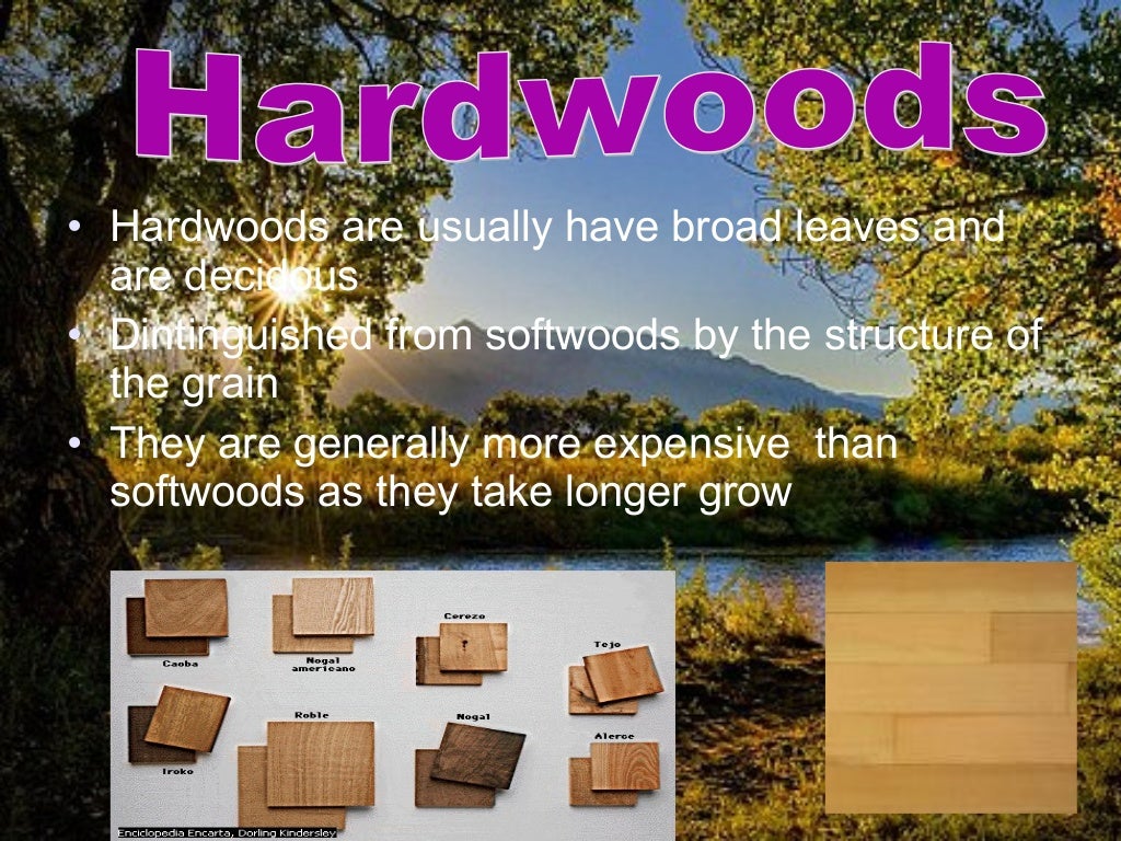 Types of wood , Tipos de Madera en INGLES (English)