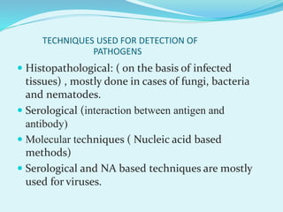Pathogens Detect Different techniques for detection of plant pathogens. | PPTX
