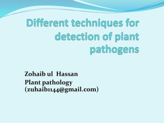Zohaib ul Hassan
Plant pathology
(zuhaib1144@gmail.com)
 