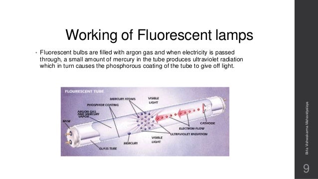 Different Type Of Lamps