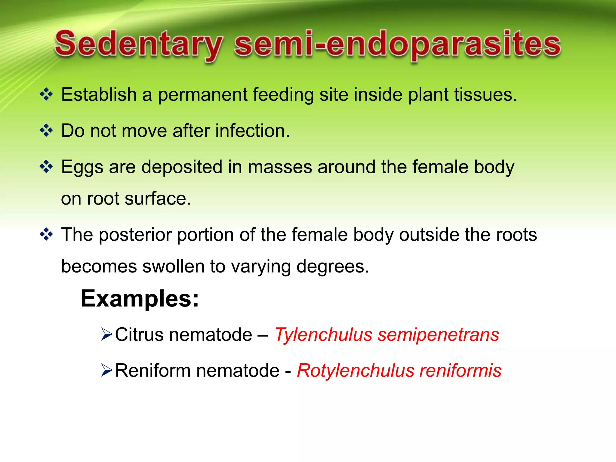  Establish a permanent feeding site inside plant tissues.
 Do not move after infection.
 Eggs are deposited in masses around the female body
on root surface.
 The posterior portion of the female body outside the roots
becomes swollen to varying degrees.
Examples:
Citrus nematode – Tylenchulus semipenetrans
Reniform nematode - Rotylenchulus reniformis
 