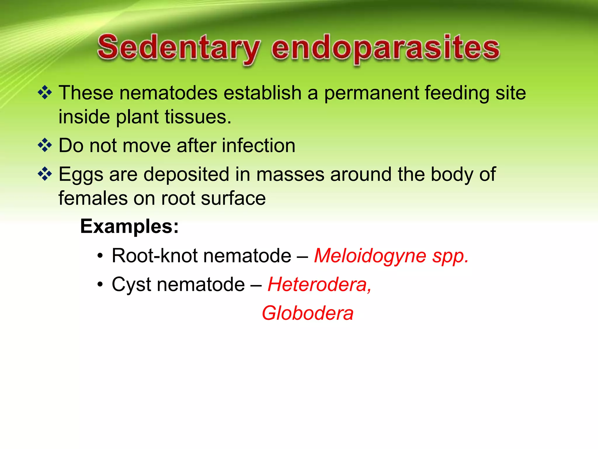  These nematodes establish a permanent feeding site
inside plant tissues.
 Do not move after infection
 Eggs are deposited in masses around the body of
females on root surface
Examples:
• Root-knot nematode – Meloidogyne spp.
• Cyst nematode – Heterodera,
Globodera
 