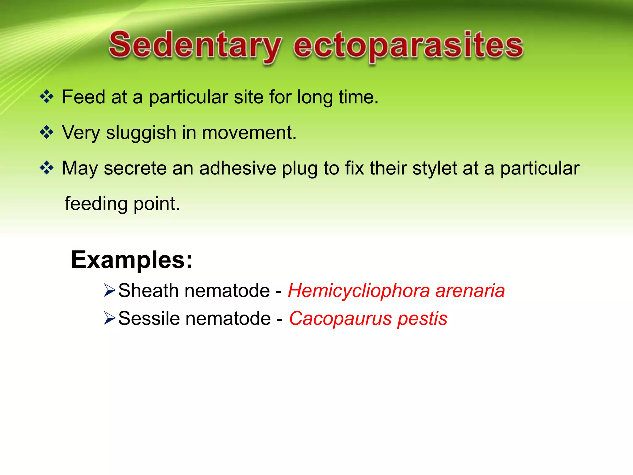  Feed at a particular site for long time.
 Very sluggish in movement.
 May secrete an adhesive plug to fix their stylet at a particular
feeding point.
Examples:
Sheath nematode - Hemicycliophora arenaria
Sessile nematode - Cacopaurus pestis
 