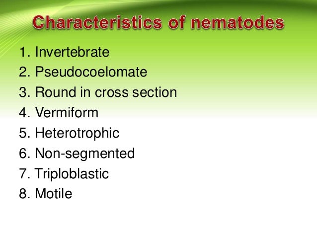 are nematodes segmented