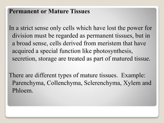 Permanent or Mature Tissues
In a strict sense only cells which have lost the power for
division must be regarded as permanent tissues, but in
a broad sense, cells derived from meristem that have
acquired a special function like photosynthesis,
secretion, storage are treated as part of matured tissue.
There are different types of mature tissues. Example:
Parenchyma, Collenchyma, Sclerenchyma, Xylem and
Phloem.
 