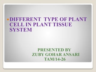 DIFFERENT TYPE OF PLANT
CELL IN PLANT TISSUE
SYSTEM
PRESENTED BY
ZUBY GOHAR ANSARI
TAM/14-26
 