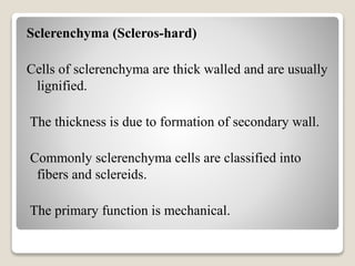 Sclerenchyma (Scleros-hard)
Cells of sclerenchyma are thick walled and are usually
lignified.
The thickness is due to formation of secondary wall.
Commonly sclerenchyma cells are classified into
fibers and sclereids.
The primary function is mechanical.
 