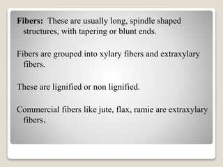 Fibers: These are usually long, spindle shaped
structures, with tapering or blunt ends.
Fibers are grouped into xylary fibers and extraxylary
fibers.
These are lignified or non lignified.
Commercial fibers like jute, flax, ramie are extraxylary
fibers.
 