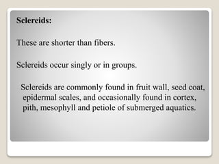 Sclereids:
These are shorter than fibers.
Sclereids occur singly or in groups.
Sclereids are commonly found in fruit wall, seed coat,
epidermal scales, and occasionally found in cortex,
pith, mesophyll and petiole of submerged aquatics.
 