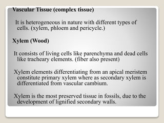 Vascular Tissue (complex tissue)
It is heterogeneous in nature with different types of
cells. (xylem, phloem and pericycle.)
Xylem (Wood)
It consists of living cells like parenchyma and dead cells
like tracheary elements. (fiber also present)
Xylem elements differentiating from an apical meristem
constitute primary xylem where as secondary xylem is
differentiated from vascular cambium.
Xylem is the most preserved tissue in fossils, due to the
development of lignified secondary walls.
 