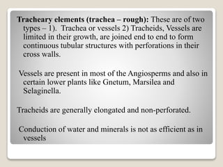 Tracheary elements (trachea – rough): These are of two
types – 1). Trachea or vessels 2) Tracheids, Vessels are
limited in their growth, are joined end to end to form
continuous tubular structures with perforations in their
cross walls.
Vessels are present in most of the Angiosperms and also in
certain lower plants like Gnetum, Marsilea and
Selaginella.
Tracheids are generally elongated and non-perforated.
Conduction of water and minerals is not as efficient as in
vessels
 