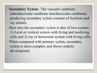 Secondary Xylem: The vascular cambium
(intrafascicular cambium interfascicular cambium)
producing secondary xylem consists of fusiform and
ray initials.
Here also the secondary xylem is also of two-system-
1) Axial or vertical system with living and nonliving
cells and 2) ray or horizontal system with living cells.
When compared with primary xylem, secondary
xylem is more complex and shows orderly
development
 