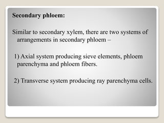 Secondary phloem:
Similar to secondary xylem, there are two systems of
arrangements in secondary phloem –
1) Axial system producing sieve elements, phloem
parenchyma and phloem fibers.
2) Transverse system producing ray parenchyma cells.
 