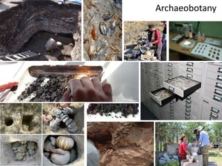 Different types of Archaeology | PPTX