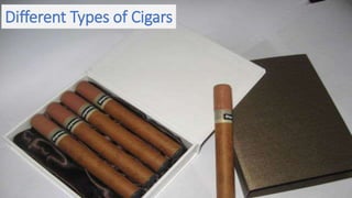 Different Types of Cigars
 