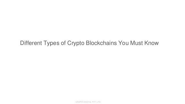 Different Types of Crypto Blockchains You Must Know
 