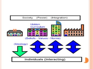 Different types of curriculum