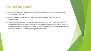 Control measures
 In the initial stage, application of lime and sodium chloride treatment was
found to be effective.
 CIFA produced a mixture of CIFAX, for controlling EUS but not much
standardized.
 Treating the water with chlorine before letting in to the pond, avoidance of
water use from large water body with improper water quality, use of filters in
water channels to avoid wild fish entry and preventing the entry of predatory
birds are central to disease management strategy.
 