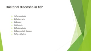 Bacterial diseases in fish
 1) Furunculosis
 2) Columnaris
 3) Dropsy
 4) Vibriosis
 5) Tuberculosis
 6) Bacterial gill disease
 7) Fin rot/tail rot
 