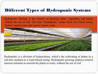 Different Types of Hydroponic Systems
Hydroponic farming is the science of growing fruits, vegetables and plants
without the use of soil. The term "hydroponic" comes from two Greek terms;
‘hydros’ means water and ‘ponos’ means work.
Hydroponic is a division of hydroculture, which’s the cultivating of plants in a
soil-free medium or a water-based setting. Hydroponic growing employs mineral
nutrient solutions to nourish the plants in water, without the use of soil.
 
