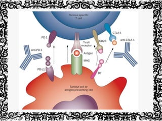 Different types of immunotherapy for lung cancer treatment | PPTX